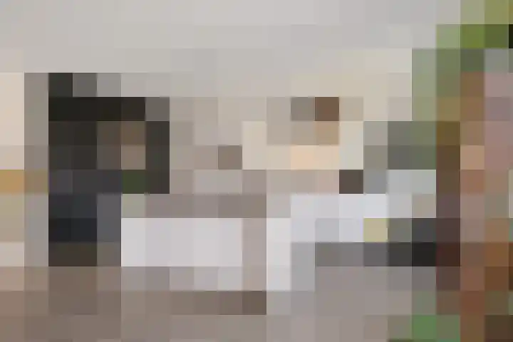 Hoyteslân 41 Goutum thumbnail 13