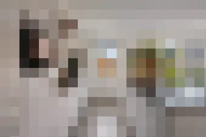 Hoyteslân 41 Goutum thumbnail 14