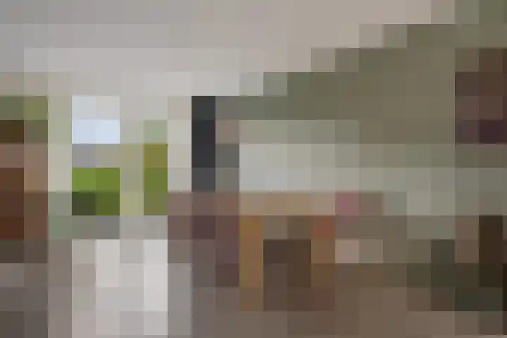 Hoyteslân 41 Goutum thumbnail 15