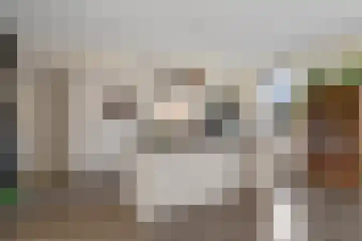 Hoyteslân 41 Goutum thumbnail 17