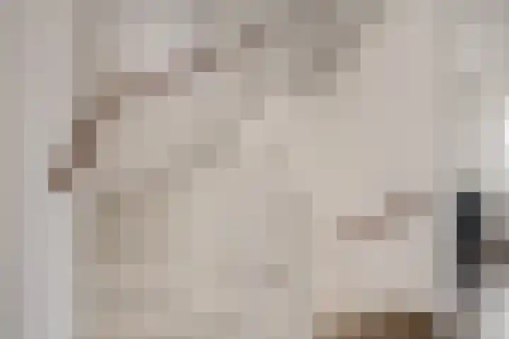 Hoyteslân 41 Goutum thumbnail 23