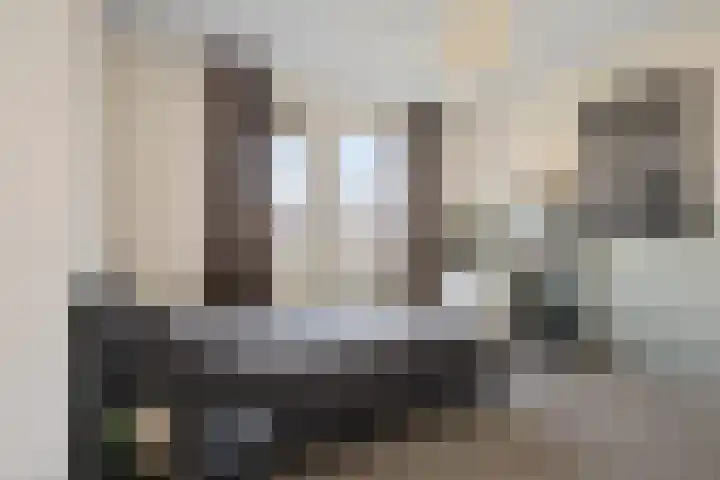 Hoyteslân 41 Goutum thumbnail 24