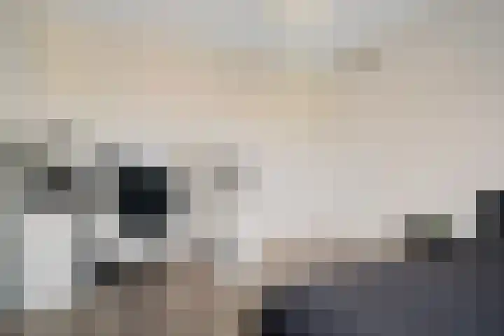 Hoyteslân 41 Goutum thumbnail 25