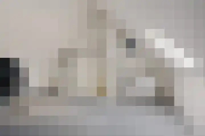 Hoyteslân 41 Goutum thumbnail 28