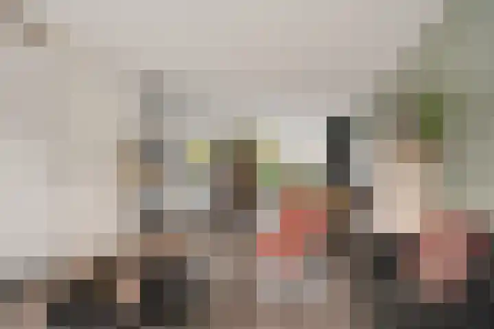 Hoyteslân 41 Goutum foto 3