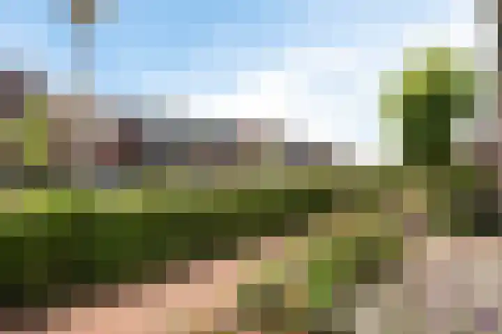 Hoyteslân 41 Goutum thumbnail 30