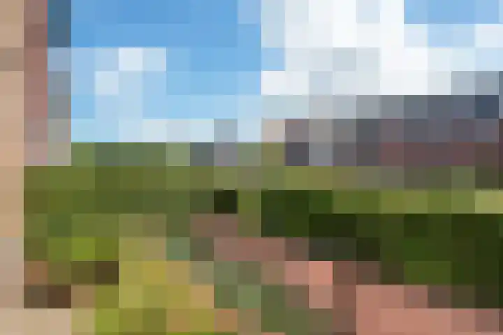 Hoyteslân 41 Goutum thumbnail 31