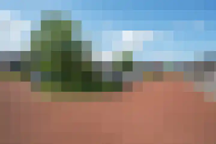 Hoyteslân 41 Goutum thumbnail 32