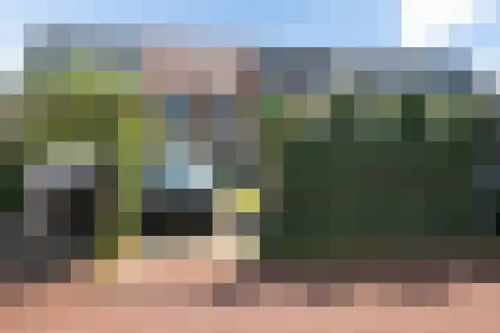 Hoyteslân 41 Goutum thumbnail 33