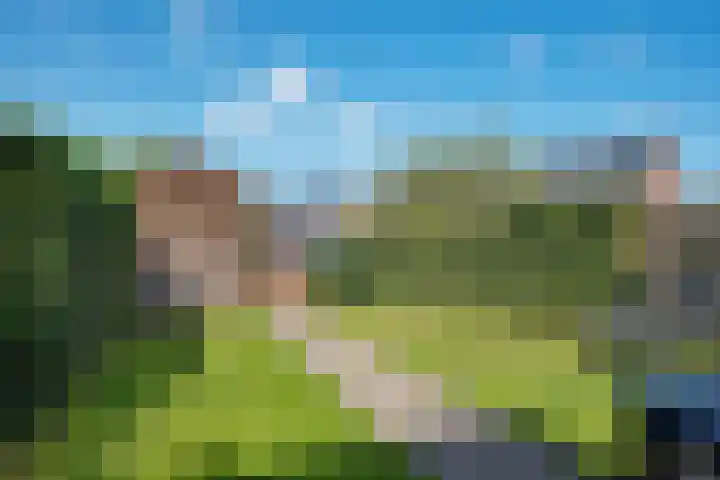 Hoyteslân 41 Goutum thumbnail 35