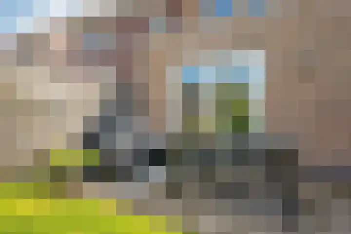 Hoyteslân 41 Goutum thumbnail 36