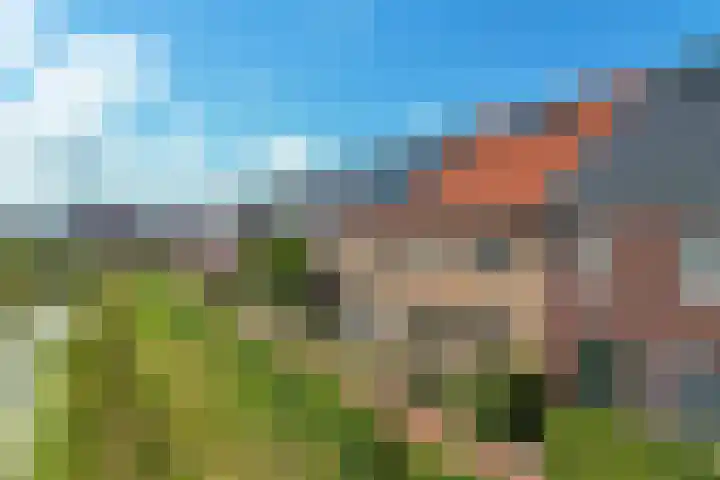 Hoyteslân 41 Goutum thumbnail 37