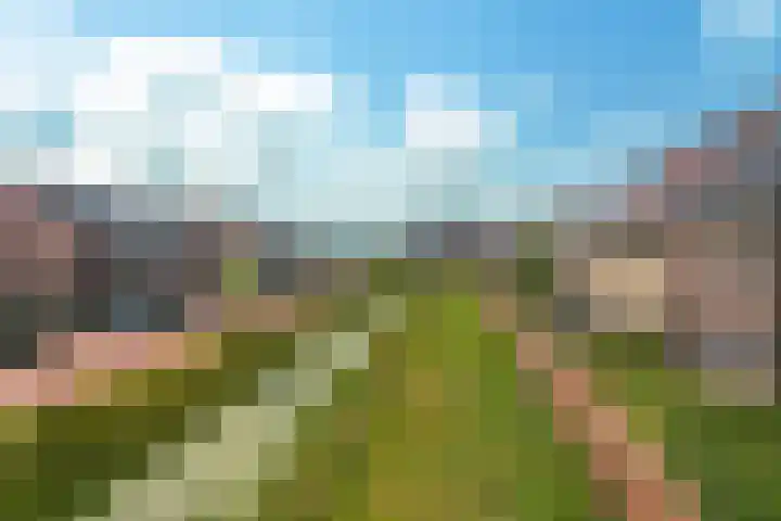 Hoyteslân 41 Goutum thumbnail 38
