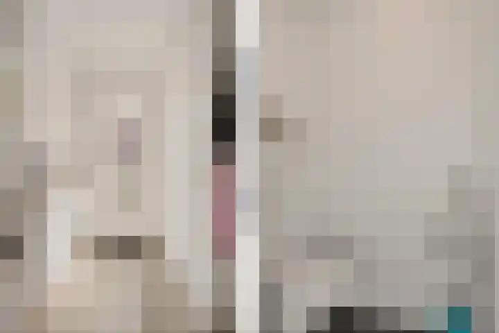 Hoyteslân 41 Goutum thumbnail 4