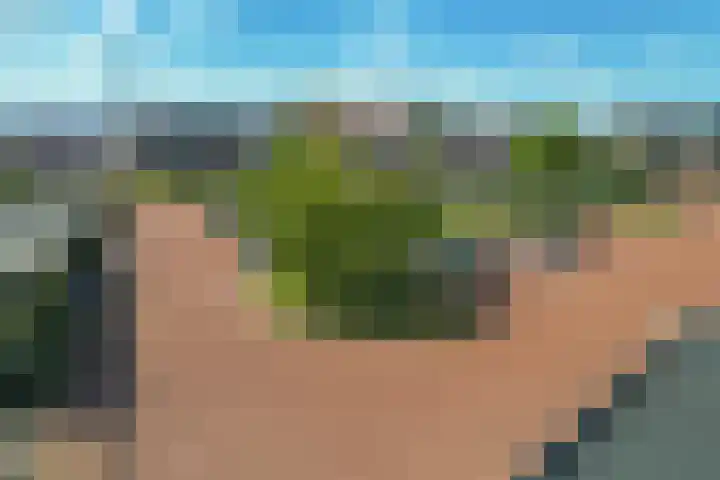 Hoyteslân 41 Goutum thumbnail 40