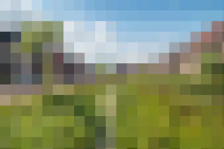 Hoyteslân 41 Goutum thumbnail 5