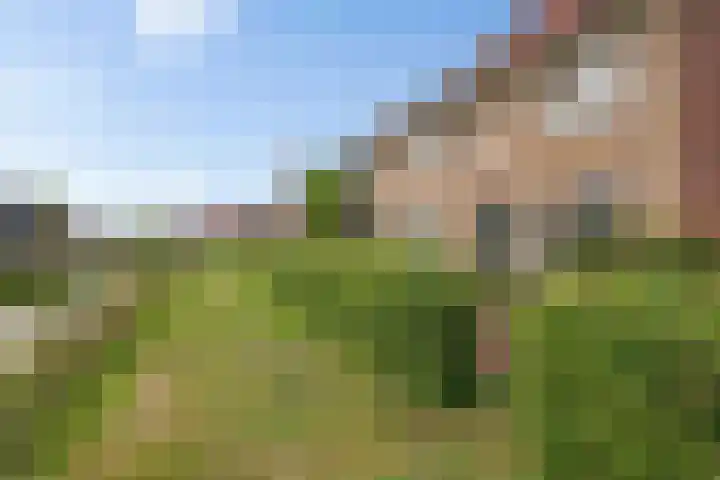 Hoyteslân 41 Goutum thumbnail 8