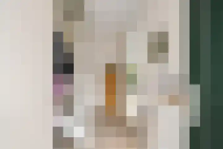 Hoyteslân 41 Goutum thumbnail 9