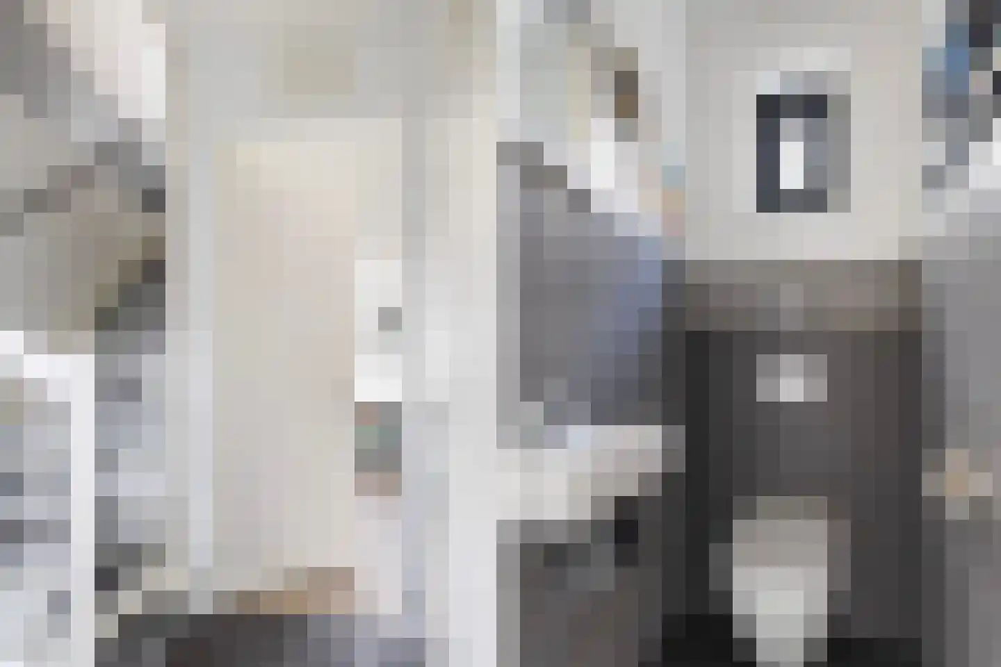 Hoyteslân 50 Goutum thumbnail 11