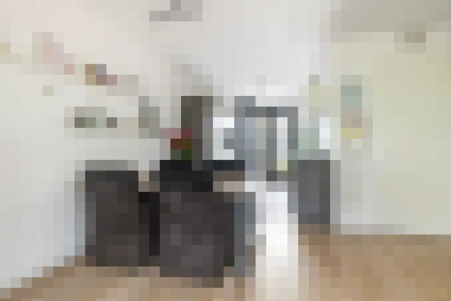 Hoyteslân 50 Goutum thumbnail 16