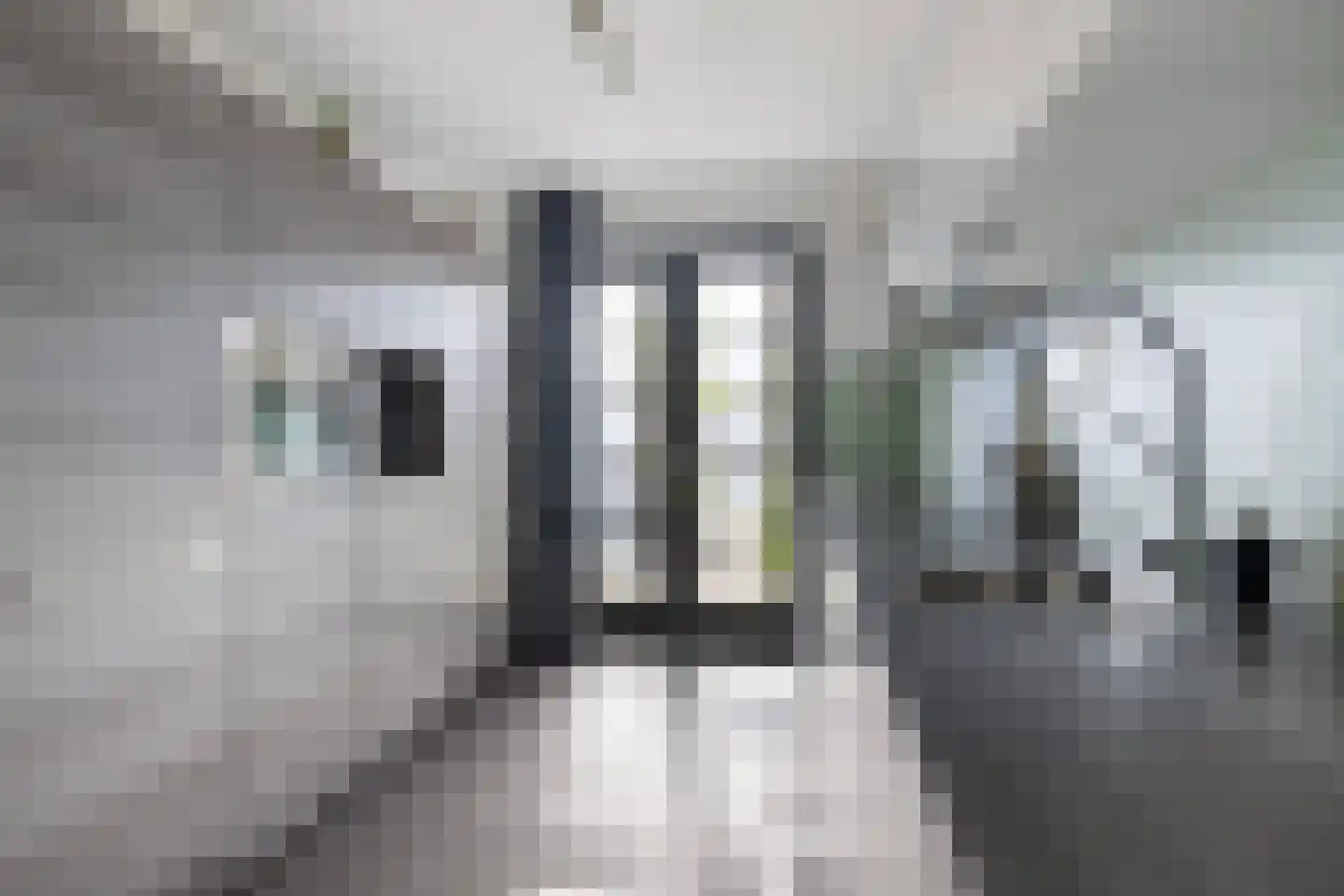 Hoyteslân 50 Goutum thumbnail 19