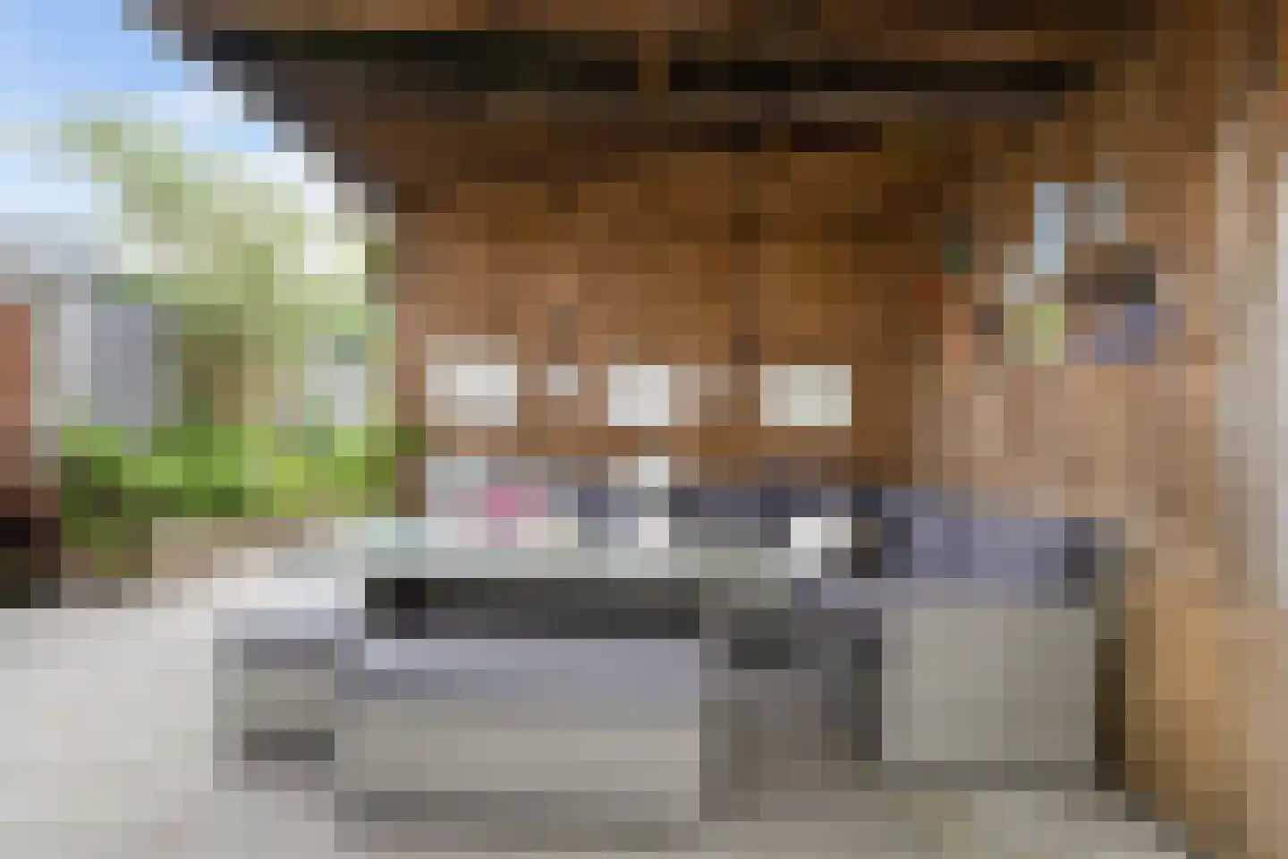 Hoyteslân 50 Goutum thumbnail 22