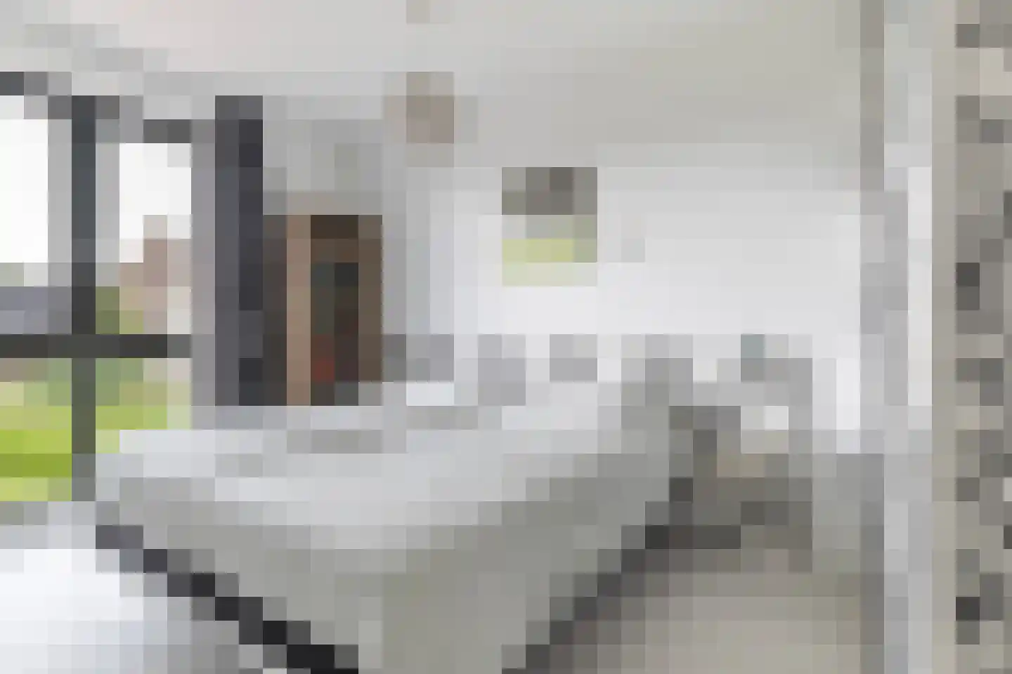 Hoyteslân 50 Goutum thumbnail 29
