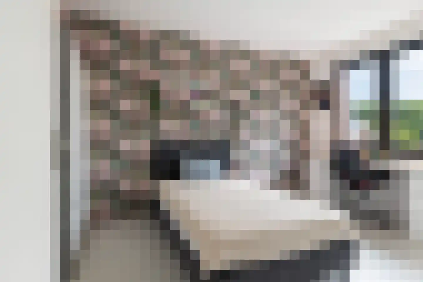 Hoyteslân 50 Goutum thumbnail 32