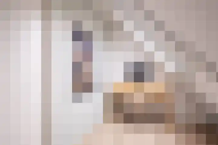 Hoyteslân 64 Goutum thumbnail 25