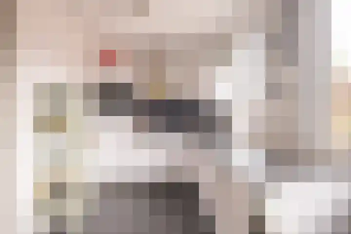 Hoyteslân 64 Goutum foto 3