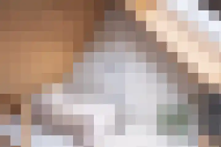 Hoyteslân 64 Goutum thumbnail 30