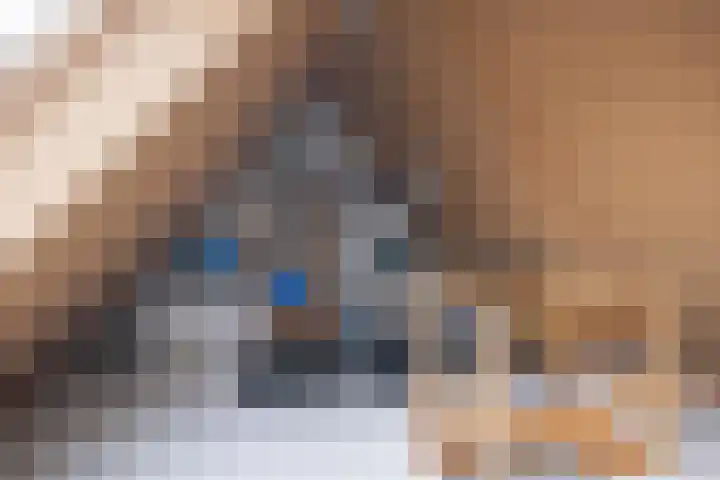 Hoyteslân 64 Goutum thumbnail 31