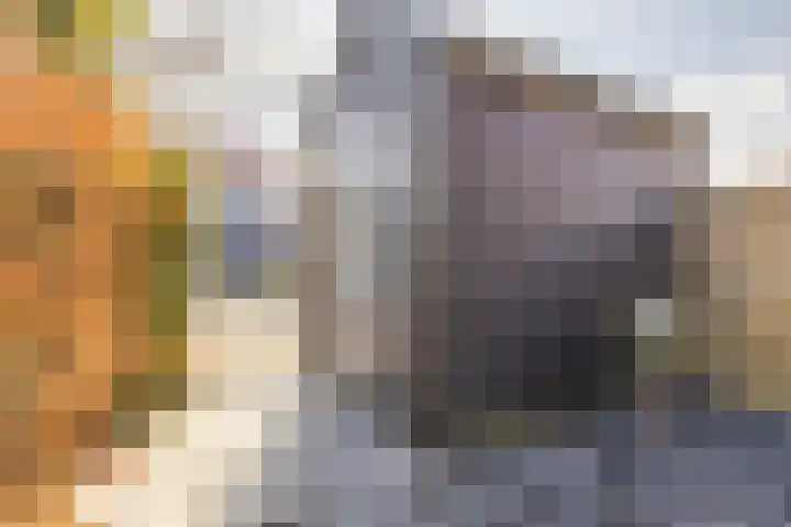 Hoyteslân 64 Goutum thumbnail 36