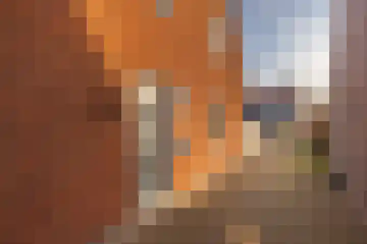 Hoyteslân 64 Goutum thumbnail 9
