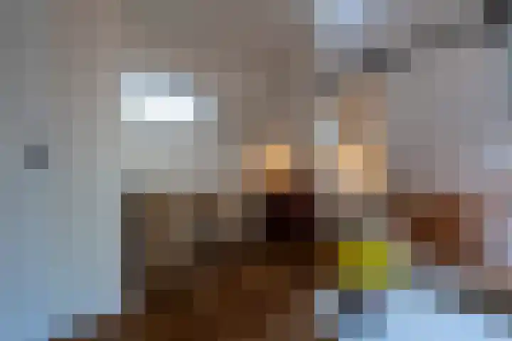 Hozenstraat 1 Bredevoort thumbnail 14