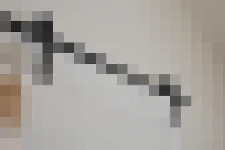 Hozenstraat 1 Bredevoort thumbnail 15