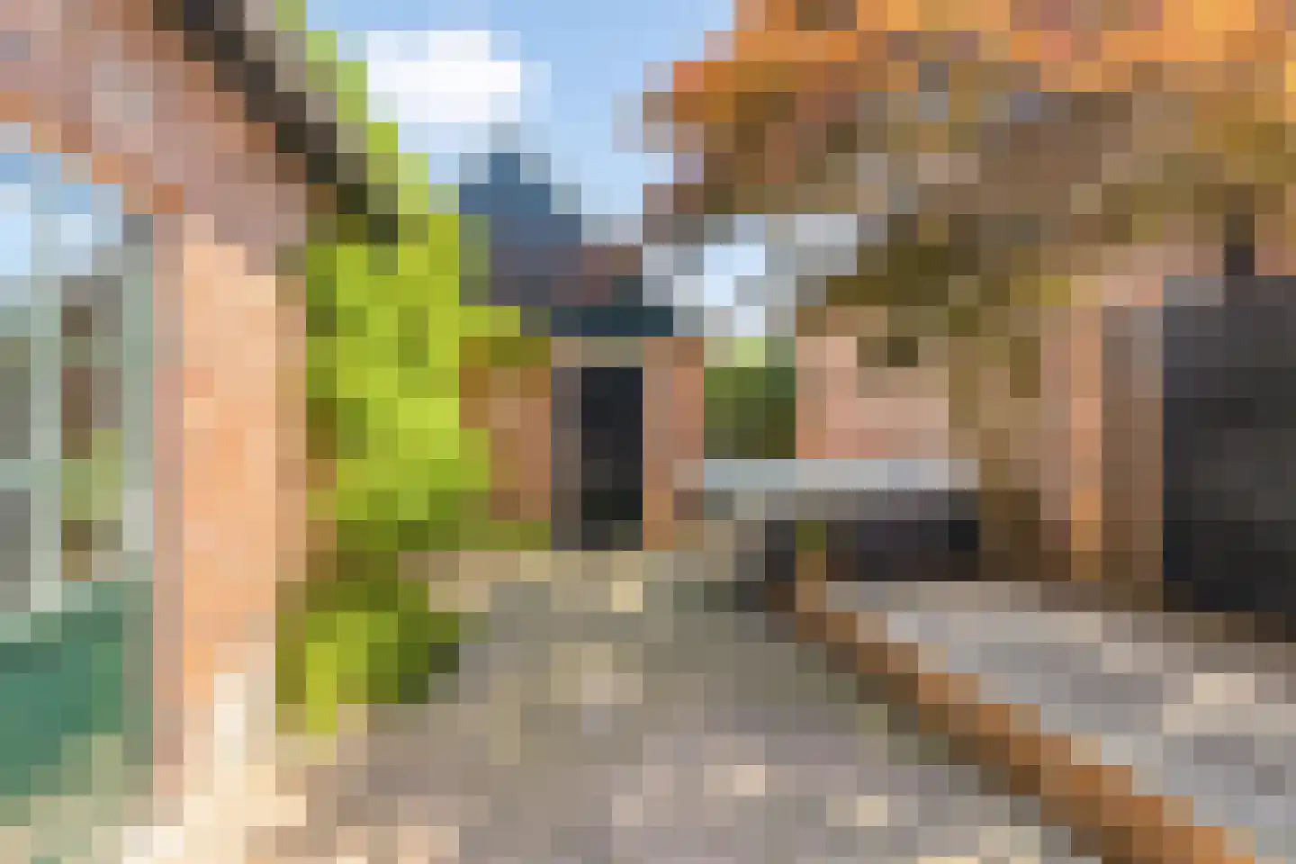 Hozenstraat 16 Bredevoort thumbnail 25