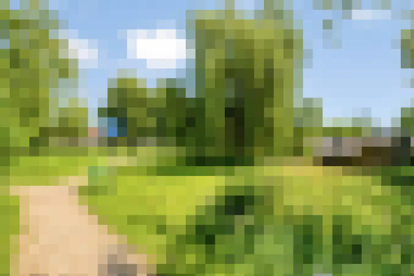 Hozenstraat 16 Bredevoort thumbnail 32