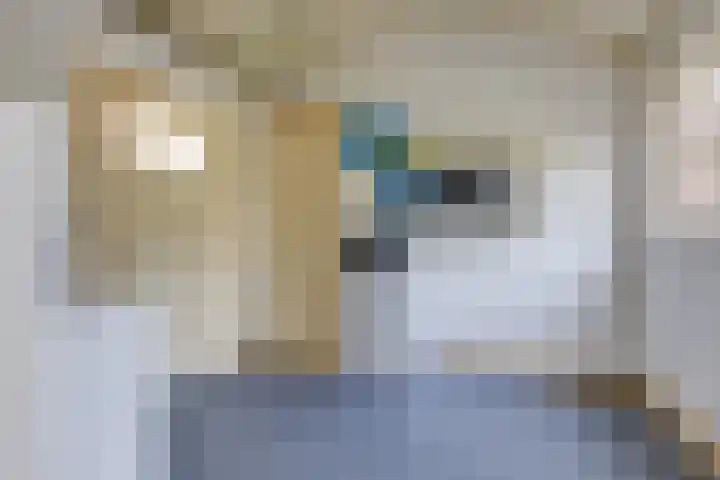 Hozenstraat 17 Bredevoort thumbnail 17