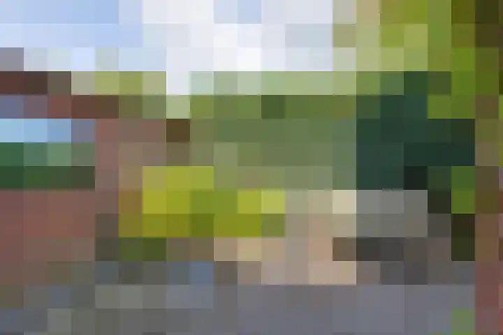 Hozenstraat 17 Bredevoort thumbnail 32