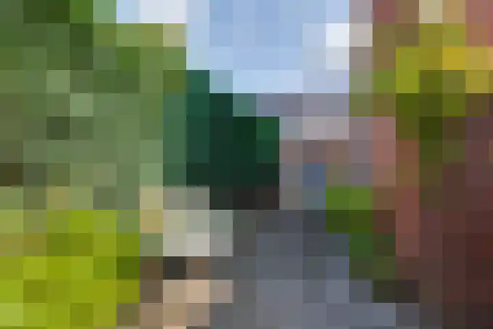 Hozenstraat 17 Bredevoort thumbnail 33