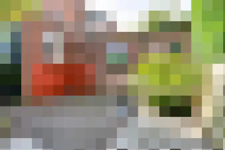 Hozenstraat 17 Bredevoort thumbnail 34
