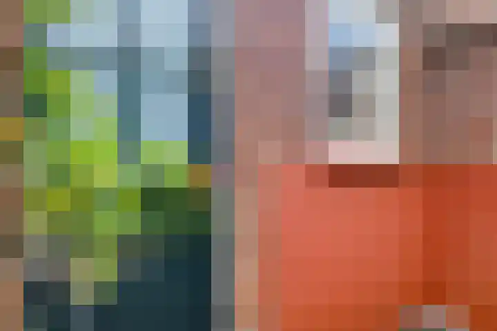 Hozenstraat 17 Bredevoort thumbnail 35