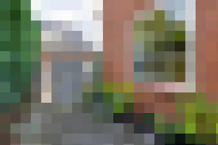 Hozenstraat 17 Bredevoort thumbnail 37