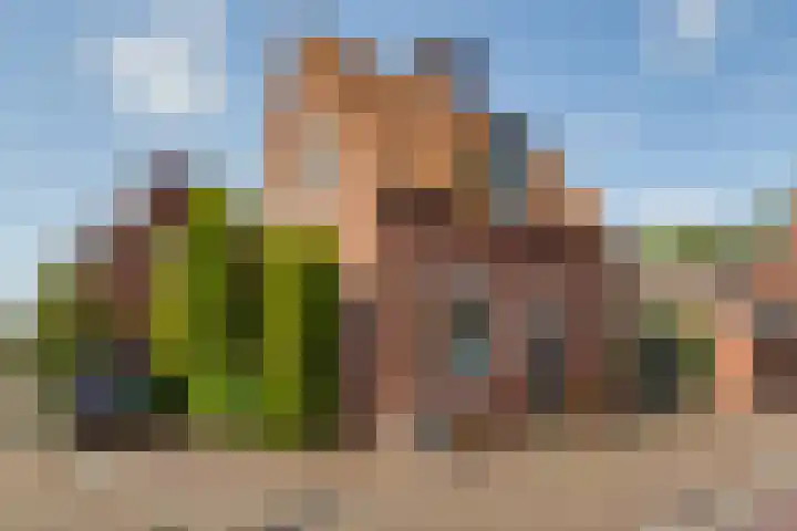 Hozenstraat 17 Bredevoort thumbnail 4