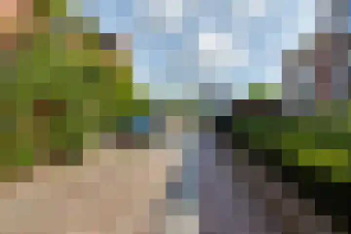 Hozenstraat 17 Bredevoort thumbnail 41