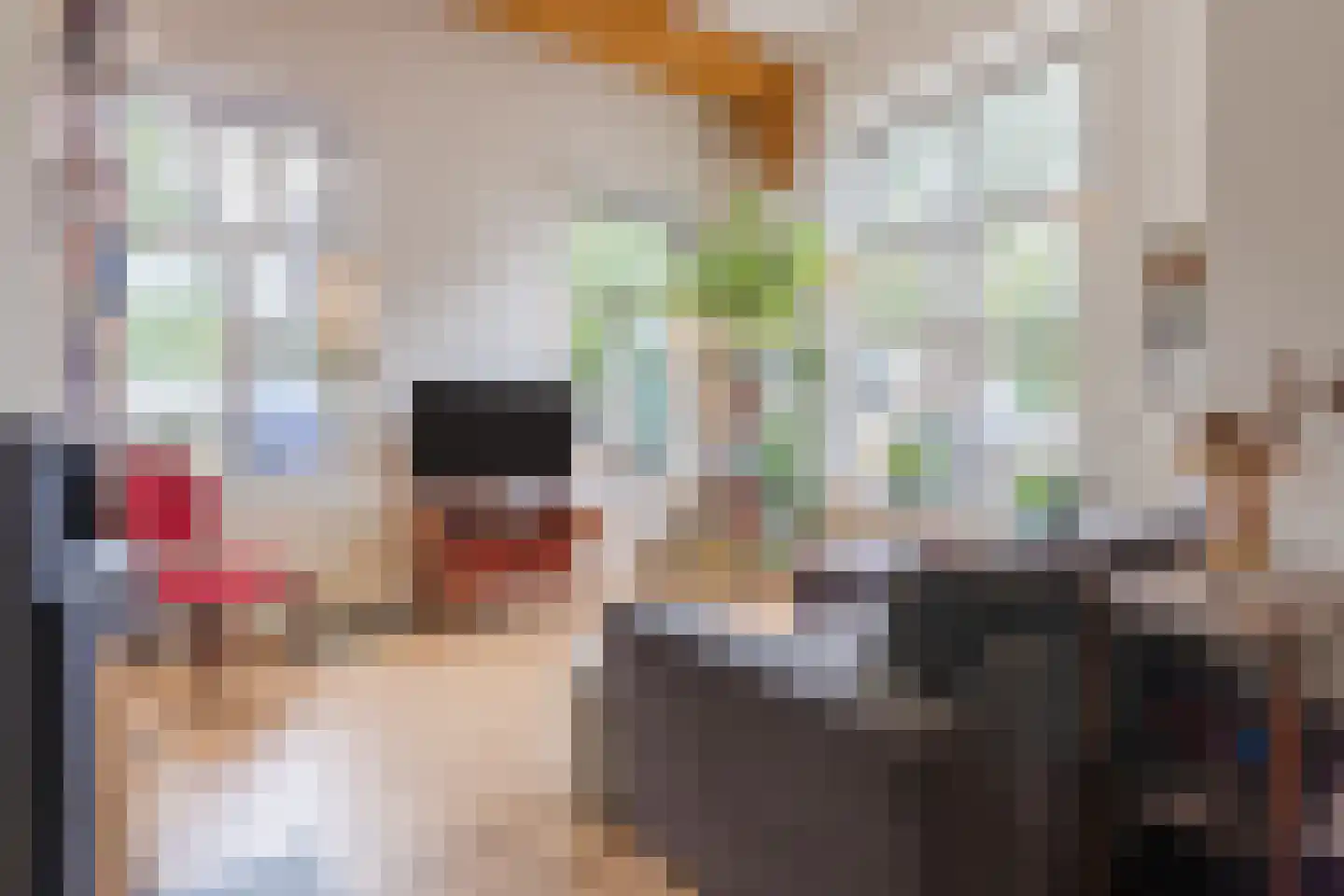 Hozenstraat 2 A Bredevoort thumbnail 10