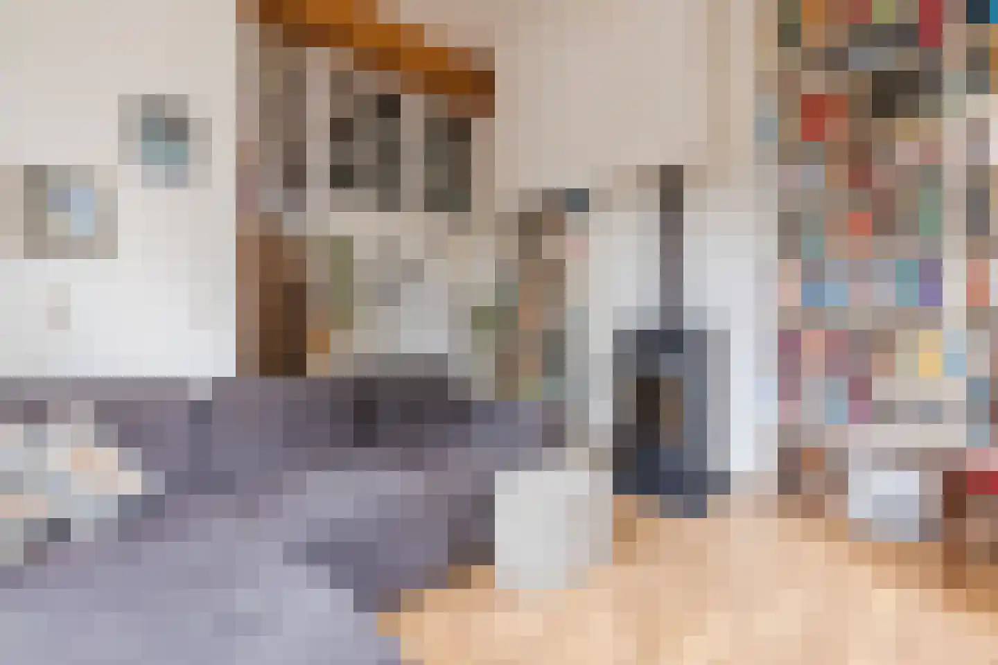 Hozenstraat 2 A Bredevoort thumbnail 12