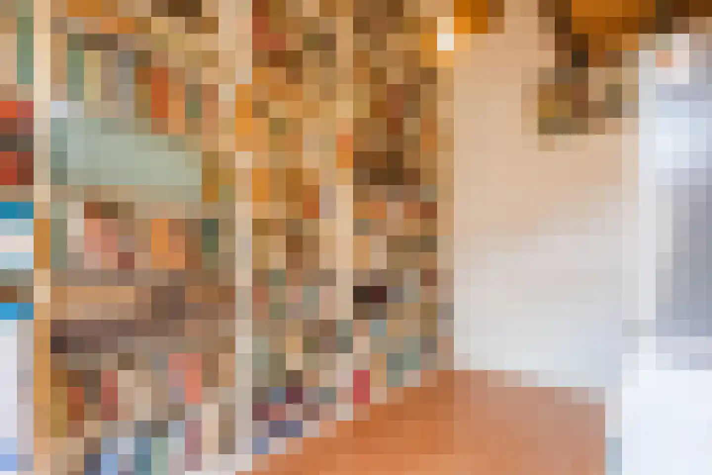 Hozenstraat 2 A Bredevoort thumbnail 20