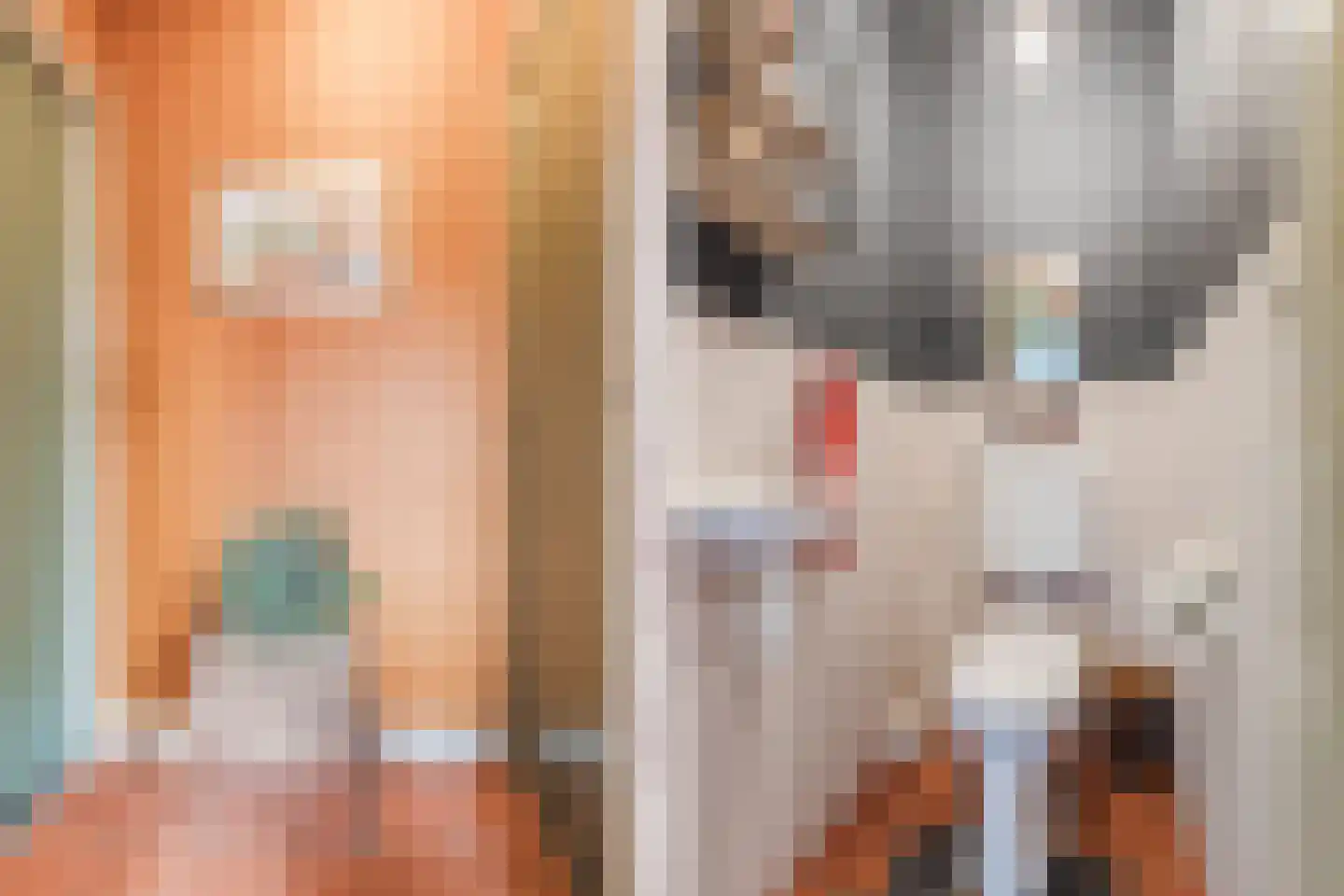 Hozenstraat 2 A Bredevoort thumbnail 25